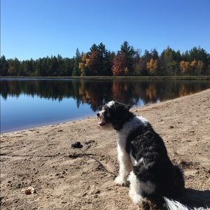 Meet your Posher, Jaclyn